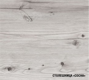 АСАЯ Кухонный гарнитур Экстра 2 (3000 мм) ПМ в Первоуральске - pervouralsk.ok-mebel.com | фото 8