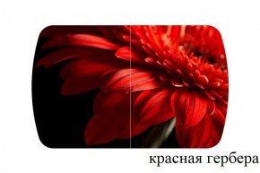 БОСТОН - 3 Стол раздвижной 1100/1420 опоры Триумф в Первоуральске - pervouralsk.ok-mebel.com | фото 18
