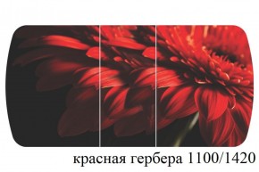 БОСТОН - 3 Стол раздвижной 1100/1420 опоры Триумф в Первоуральске - pervouralsk.ok-mebel.com | фото 19