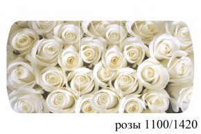 БОСТОН - 3 Стол раздвижной 1100/1420 опоры Триумф в Первоуральске - pervouralsk.ok-mebel.com | фото 37