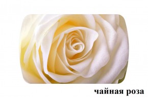 БОСТОН - 3 Стол раздвижной 1100/1420 опоры Триумф в Первоуральске - pervouralsk.ok-mebel.com | фото 47