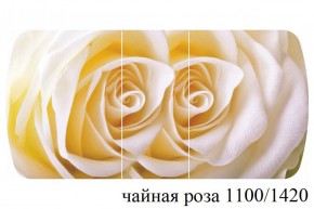 БОСТОН - 3 Стол раздвижной 1100/1420 опоры Триумф в Первоуральске - pervouralsk.ok-mebel.com | фото 48