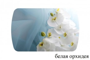 БОСТОН - 3 Стол раздвижной 1100/1420 опоры Триумф в Первоуральске - pervouralsk.ok-mebel.com | фото 8