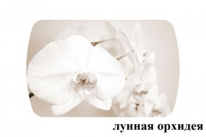 БОСТОН - 3 Стол раздвижной Лунная орхидея 1100/1420 опоры Триумф в Первоуральске - pervouralsk.ok-mebel.com | фото 2