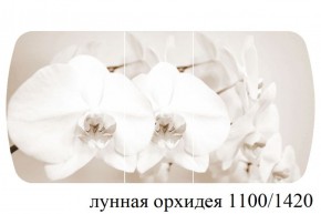 БОСТОН - 3 Стол раздвижной Лунная орхидея 1100/1420 опоры Триумф в Первоуральске - pervouralsk.ok-mebel.com | фото 3
