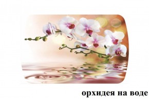 БОСТОН - 3 Стол раздвижной Орхидея на воде 1100/1420 опоры Триумф в Первоуральске - pervouralsk.ok-mebel.com | фото 2