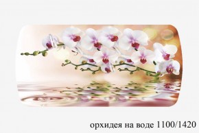 БОСТОН - 3 Стол раздвижной Орхидея на воде 1100/1420 опоры Триумф в Первоуральске - pervouralsk.ok-mebel.com | фото 3