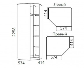 Детская Фанк Шкаф угловой Левый/Правый НМ 013.04-02 М в Первоуральске - pervouralsk.ok-mebel.com | фото 3