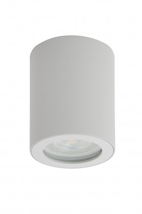 DK3007-WH Накладной светильник влагозащ., IP 44, 15 Вт, GU10, белый, алюминий в Первоуральске - pervouralsk.ok-mebel.com | фото