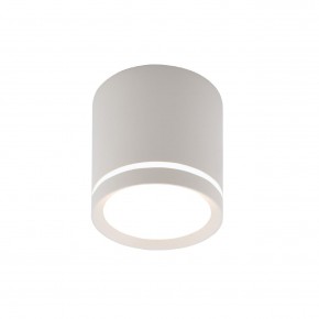 DK4013-WH Светильник накладной IP 20, 5 Вт, LED 4000, белый, алюминий/акрил в Первоуральске - pervouralsk.ok-mebel.com | фото