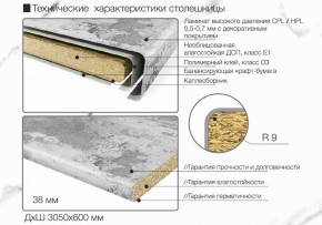 Кухонный фартук со столешницей (А-01) в едином стиле (3050 мм) в Первоуральске - pervouralsk.ok-mebel.com | фото 6