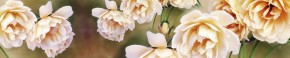 Кухонный фартук Цветы 066 МДФ матовый (3000) Flowers в Первоуральске - pervouralsk.ok-mebel.com | фото 1