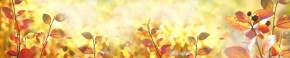 Кухонный фартук Цветы 318 МДФ матовый (3000) Flowers в Первоуральске - pervouralsk.ok-mebel.com | фото
