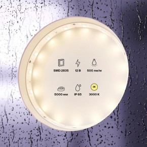 Лента светодиодная Maytoni Led strip 10105 в Первоуральске - pervouralsk.ok-mebel.com | фото 2