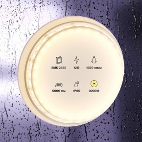 Лента светодиодная Maytoni Led strip 10117 в Первоуральске - pervouralsk.ok-mebel.com | фото 2