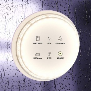 Лента светодиодная Maytoni Led strip 10118 в Первоуральске - pervouralsk.ok-mebel.com | фото 2
