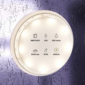 Лента светодиодная Maytoni Led strip 10124 в Первоуральске - pervouralsk.ok-mebel.com | фото 3