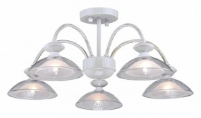 Люстра на штанге Arti Lampadari Noventa Noventa E 1.1.5 W в Первоуральске - pervouralsk.ok-mebel.com | фото