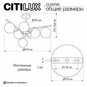 Люстра на штанге Citilux RONNY CL242163 в Первоуральске - pervouralsk.ok-mebel.com | фото 12
