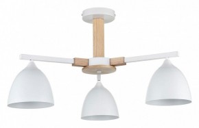 Люстра на штанге Lumion Colange 8095/3C в Первоуральске - pervouralsk.ok-mebel.com | фото