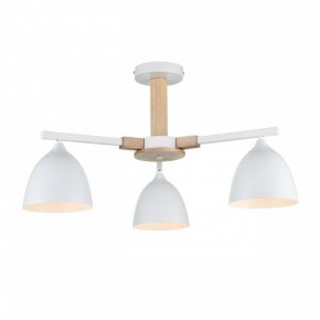 Люстра на штанге Lumion Colange 8095/3C в Первоуральске - pervouralsk.ok-mebel.com | фото 2