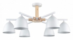 Люстра на штанге Lumion Colange 8095/6C в Первоуральске - pervouralsk.ok-mebel.com | фото