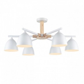 Люстра на штанге Lumion Colange 8095/6C в Первоуральске - pervouralsk.ok-mebel.com | фото 2