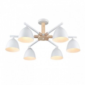 Люстра на штанге Lumion Colange 8095/6C в Первоуральске - pervouralsk.ok-mebel.com | фото 3