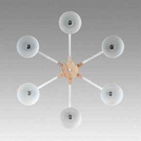 Люстра на штанге Lumion Colange 8095/6C в Первоуральске - pervouralsk.ok-mebel.com | фото 4