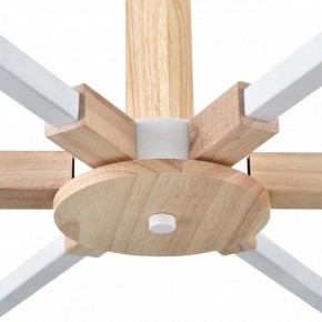 Люстра на штанге Lumion Colange 8095/6C в Первоуральске - pervouralsk.ok-mebel.com | фото 7