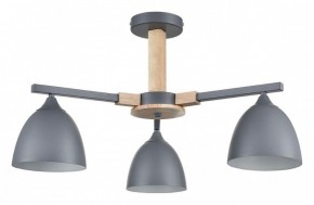 Люстра на штанге Lumion Colange 8096/3C в Первоуральске - pervouralsk.ok-mebel.com | фото