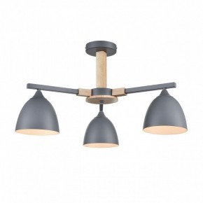Люстра на штанге Lumion Colange 8096/3C в Первоуральске - pervouralsk.ok-mebel.com | фото 2