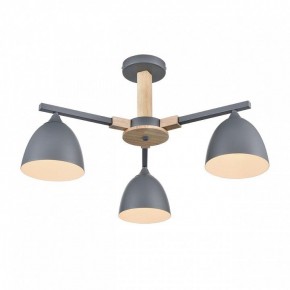 Люстра на штанге Lumion Colange 8096/3C в Первоуральске - pervouralsk.ok-mebel.com | фото 3