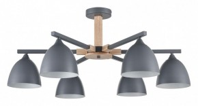 Люстра на штанге Lumion Colange 8096/6C в Первоуральске - pervouralsk.ok-mebel.com | фото