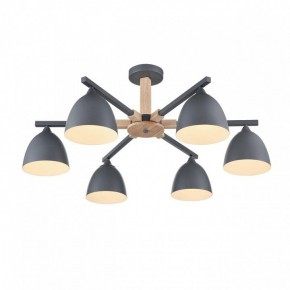 Люстра на штанге Lumion Colange 8096/6C в Первоуральске - pervouralsk.ok-mebel.com | фото 3