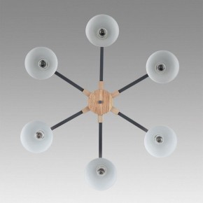 Люстра на штанге Lumion Colange 8096/6C в Первоуральске - pervouralsk.ok-mebel.com | фото 4