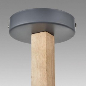 Люстра на штанге Lumion Colange 8096/6C в Первоуральске - pervouralsk.ok-mebel.com | фото 9