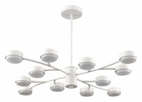 Люстра на штанге Lumion TORINA 8265/12 в Первоуральске - pervouralsk.ok-mebel.com | фото