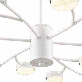 Люстра на штанге Lumion TORINA 8265/18 в Первоуральске - pervouralsk.ok-mebel.com | фото 8