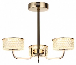 Люстра на штанге Lumion Venice 6579/40CL в Первоуральске - pervouralsk.ok-mebel.com | фото 5