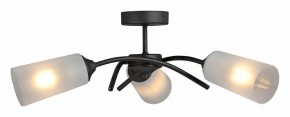 Люстра на штанге Vitaluce V2850 V2850-1/3PL в Первоуральске - pervouralsk.ok-mebel.com | фото 3