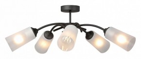 Люстра на штанге Vitaluce V2850 V2850-1/5PL в Первоуральске - pervouralsk.ok-mebel.com | фото 3