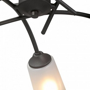 Люстра на штанге Vitaluce V2850 V2850-1/5PL в Первоуральске - pervouralsk.ok-mebel.com | фото 6