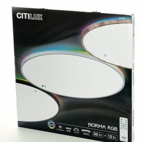 Накладной светильник Citilux NORMA CL749600 в Первоуральске - pervouralsk.ok-mebel.com | фото 8