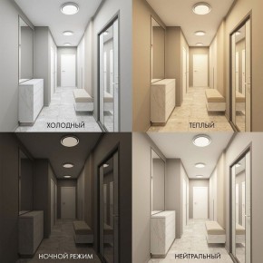 Накладной светильник Denkirs Cany DK6516-WH в Первоуральске - pervouralsk.ok-mebel.com | фото 2