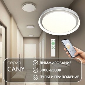 Накладной светильник Denkirs Cany DK6516-WH в Первоуральске - pervouralsk.ok-mebel.com | фото 4