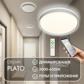 Накладной светильник Denkirs PLATO DK6511-WH/1 в Первоуральске - pervouralsk.ok-mebel.com | фото 4