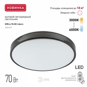 Накладной светильник Эра Классик SPB-6-70-RC Liburn в Первоуральске - pervouralsk.ok-mebel.com | фото 10