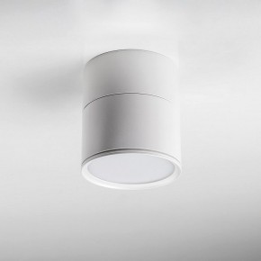 Накладной светильник Lightstar Acuto 215886 в Первоуральске - pervouralsk.ok-mebel.com | фото 3