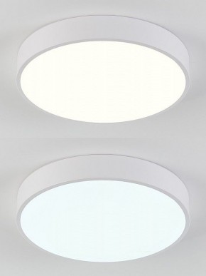 Накладной светильник Natali Kovaltseva  LED LAMPS 81111/5C в Первоуральске - pervouralsk.ok-mebel.com | фото 4